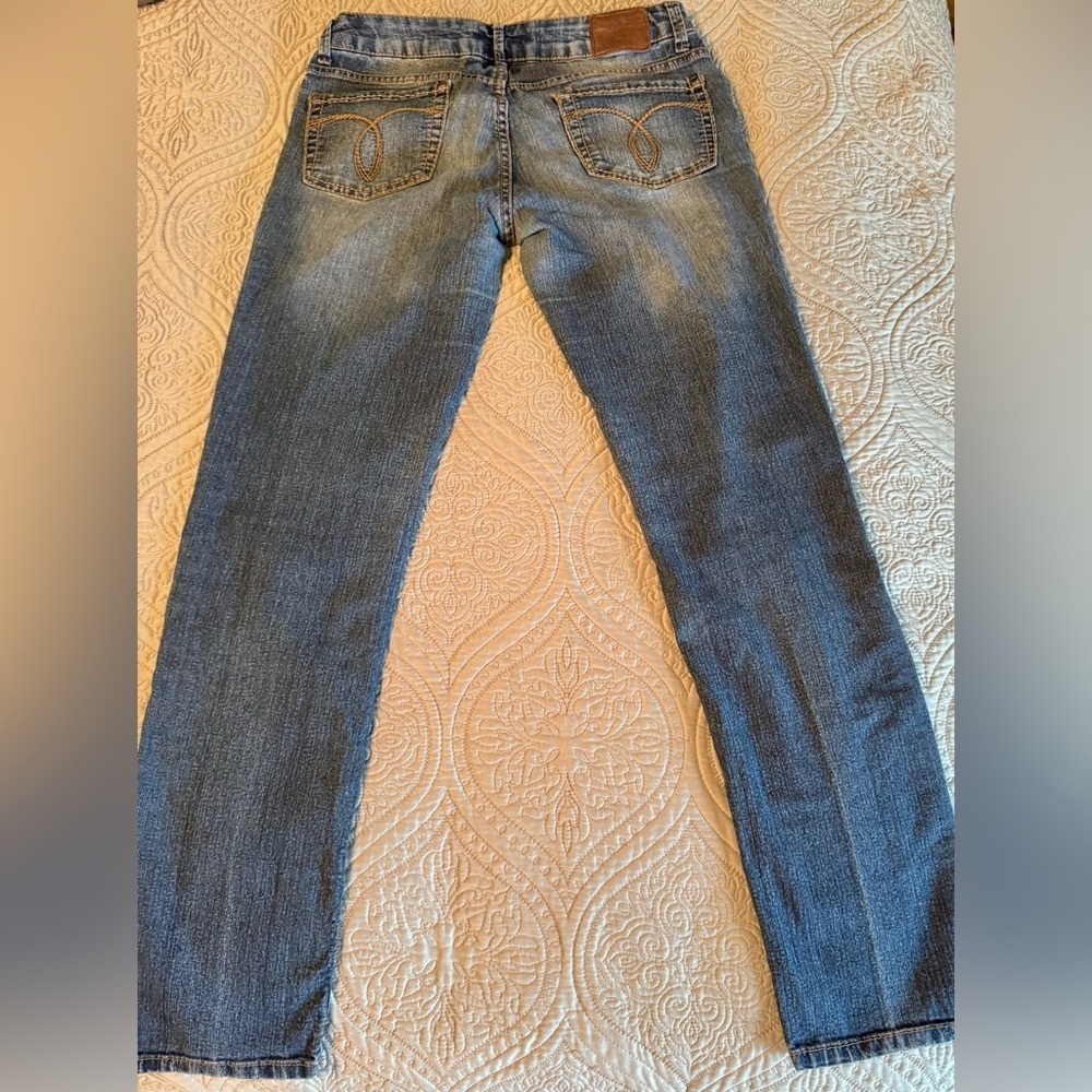 Classic Blue Skinny Jeans with Vintage Fading - Picture 6 of 8